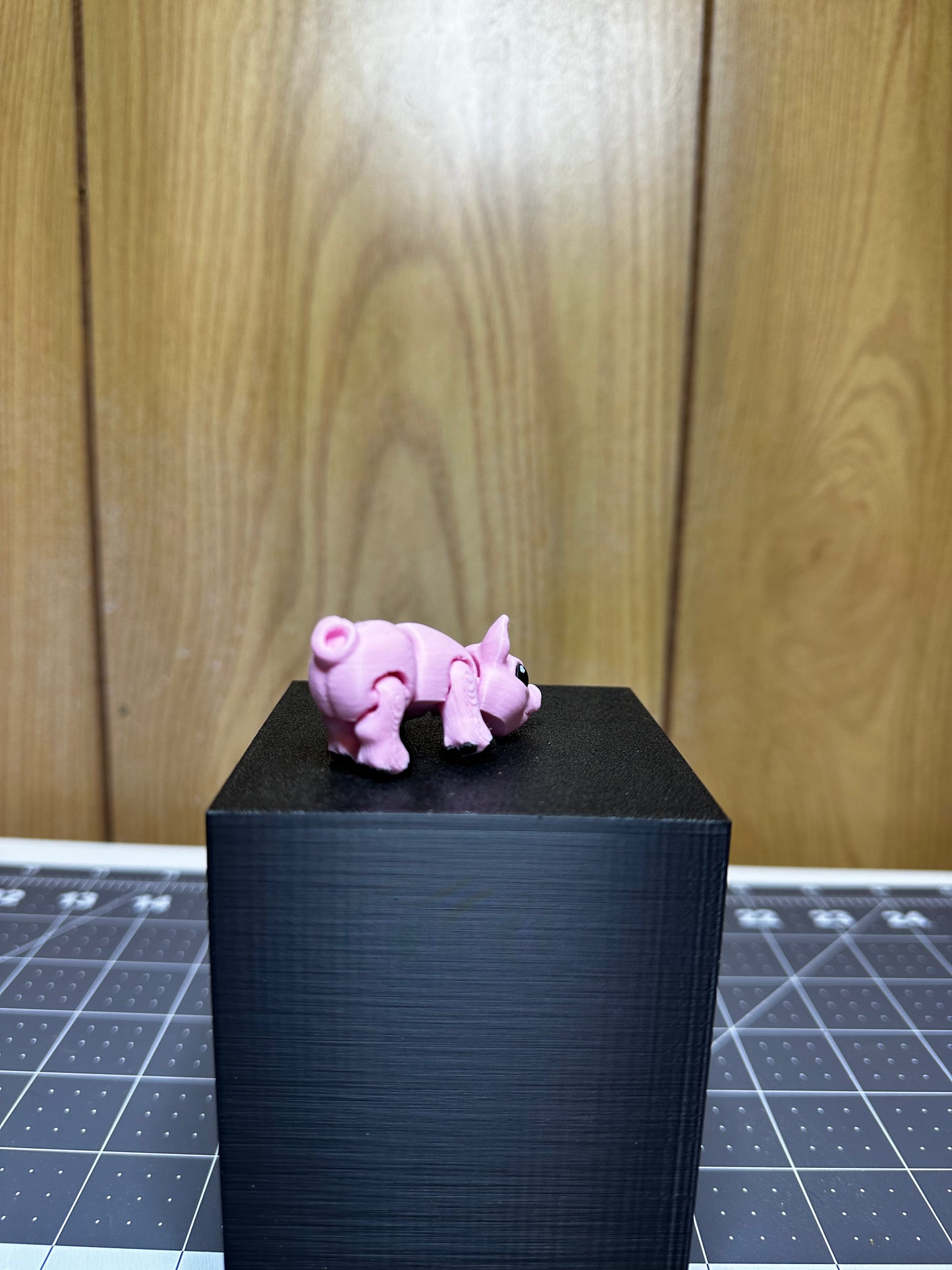 Mini Piglet