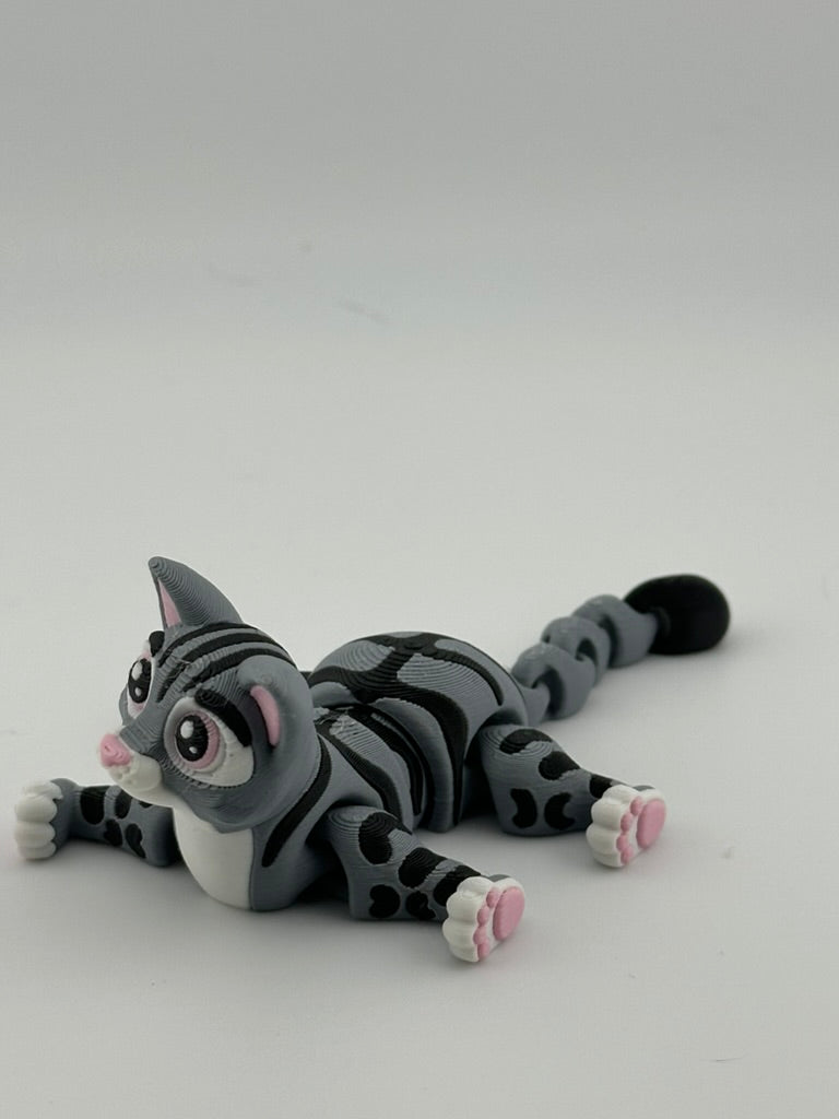 Tabby Cat
