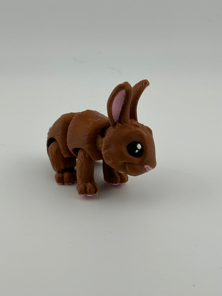 Brown Bunny Rabbit