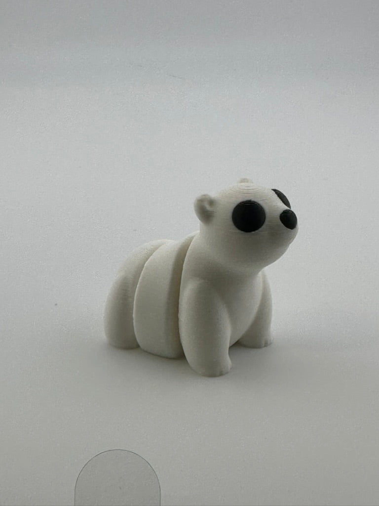 Polar Bear