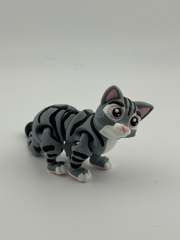 Tabby Cat