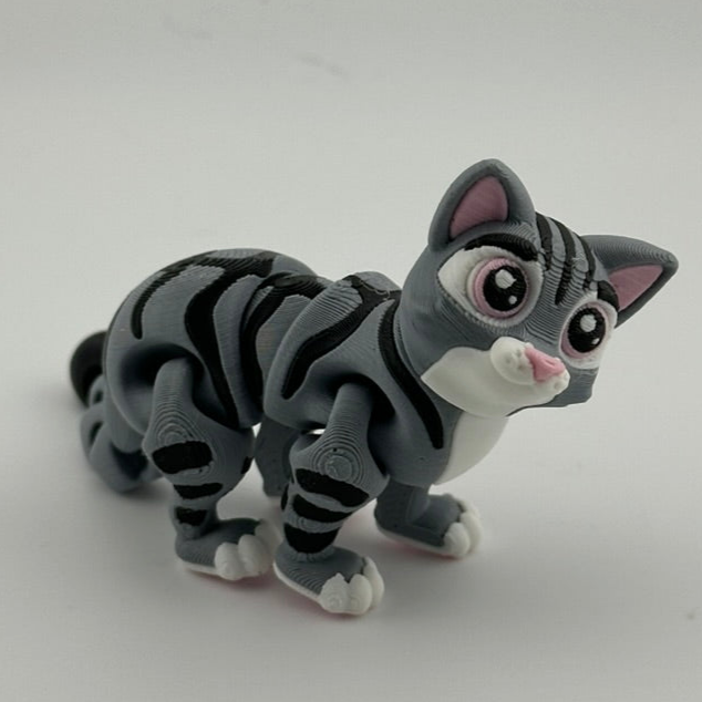 Tabby Cat