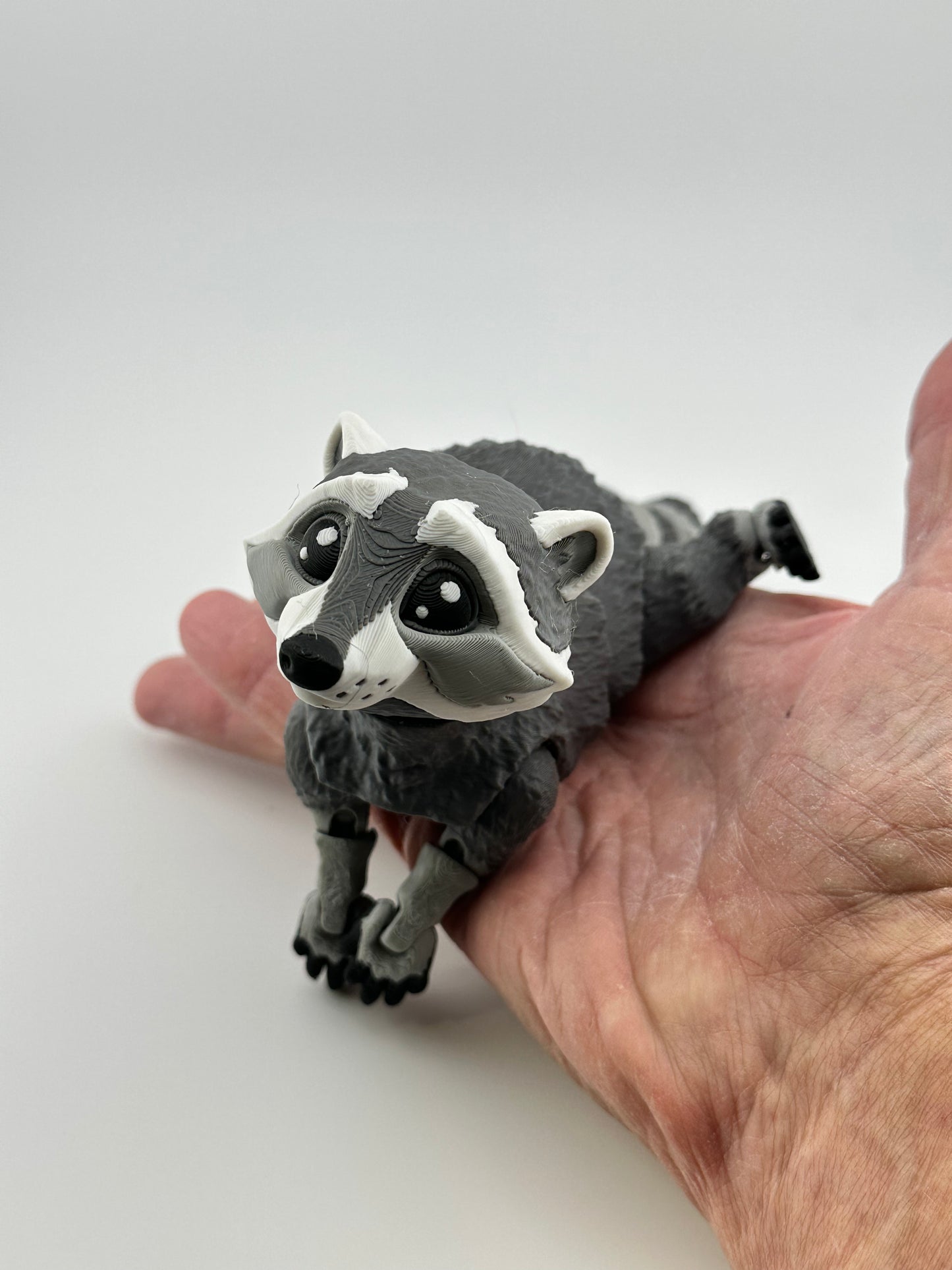 Raccoon