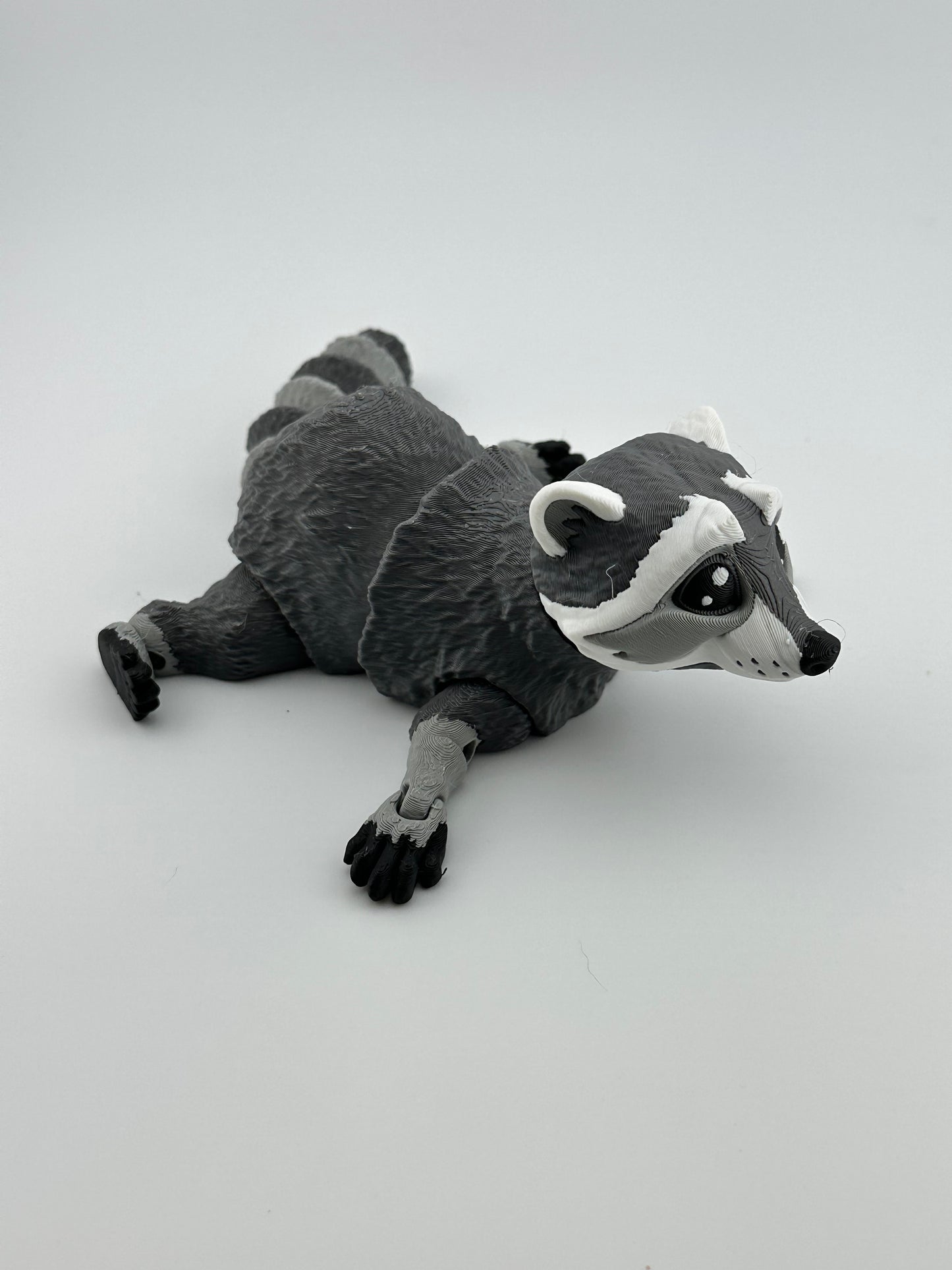 Raccoon