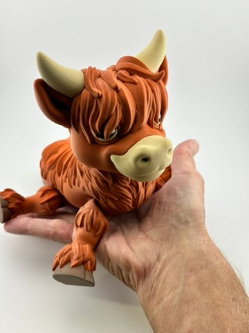 Highland Cow