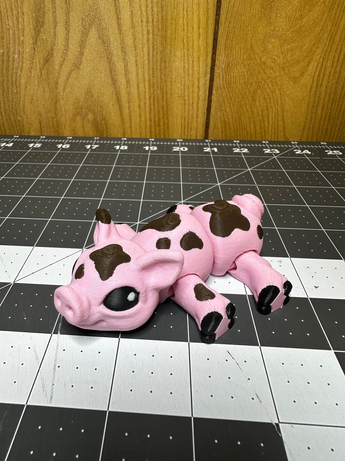 Muddy Pig