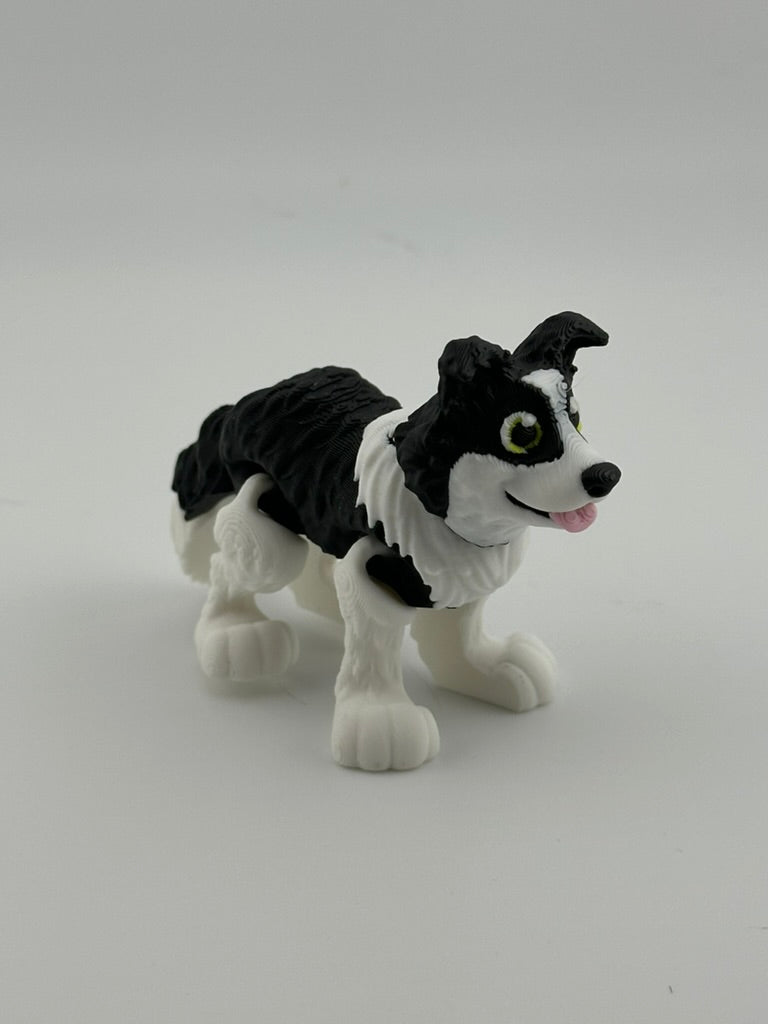Border Collie