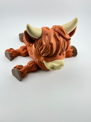 Highland Cow