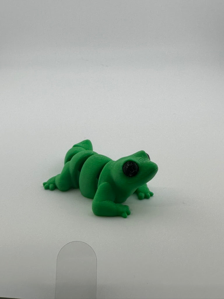 Lizard