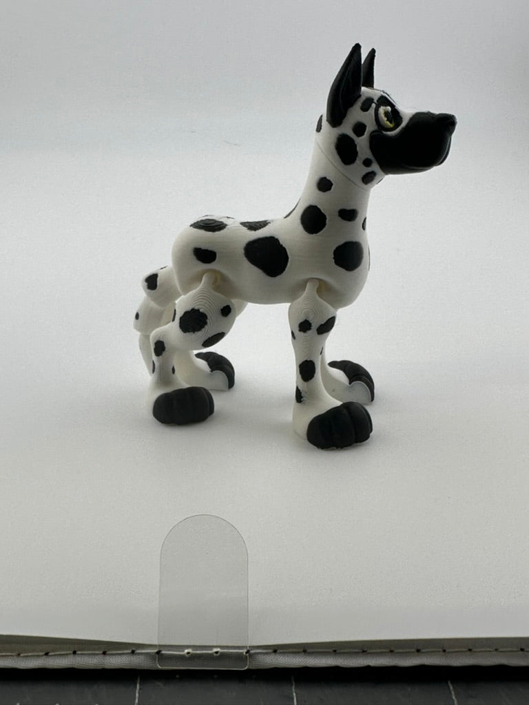 Dalmation Dog Perky ears