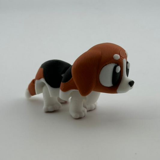 Beagle Dog