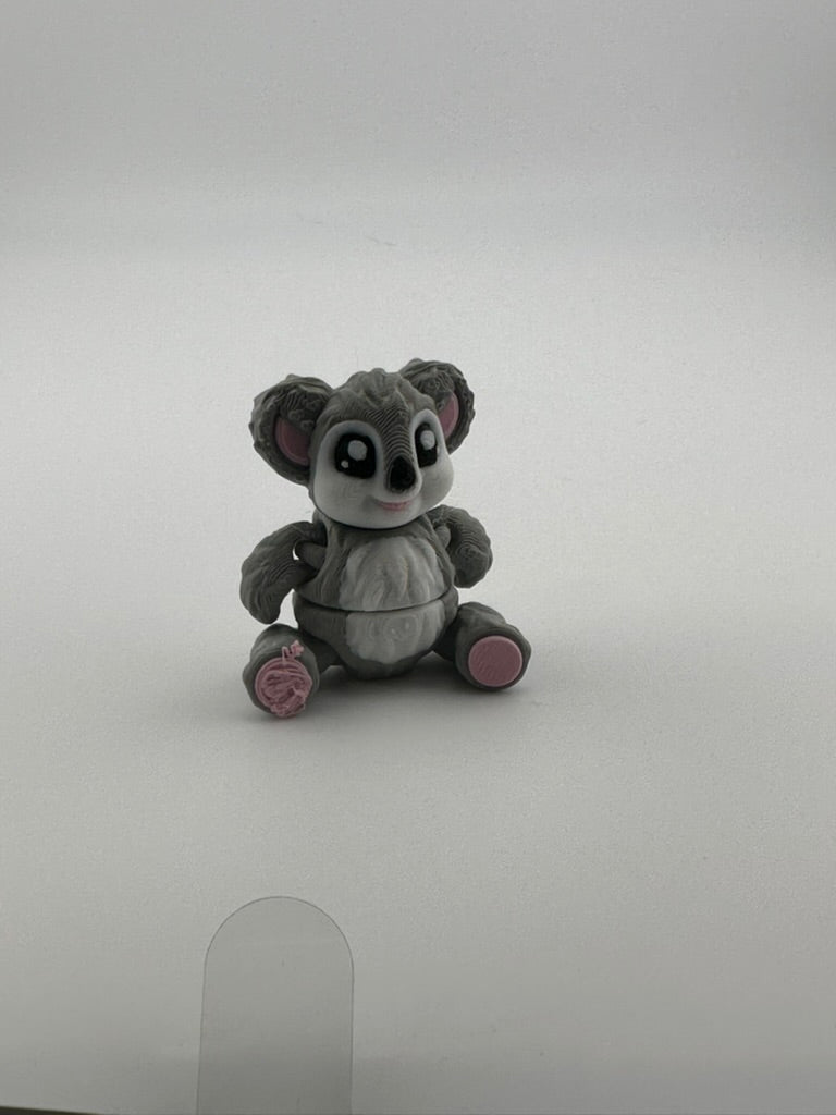 Teddy Bear Koala
