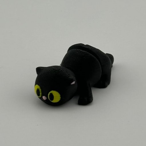 Tiny Shadow Kitten