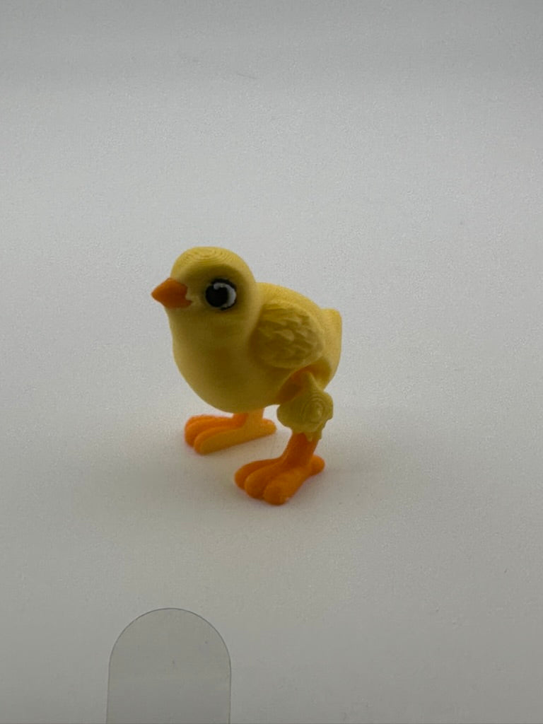 Chick