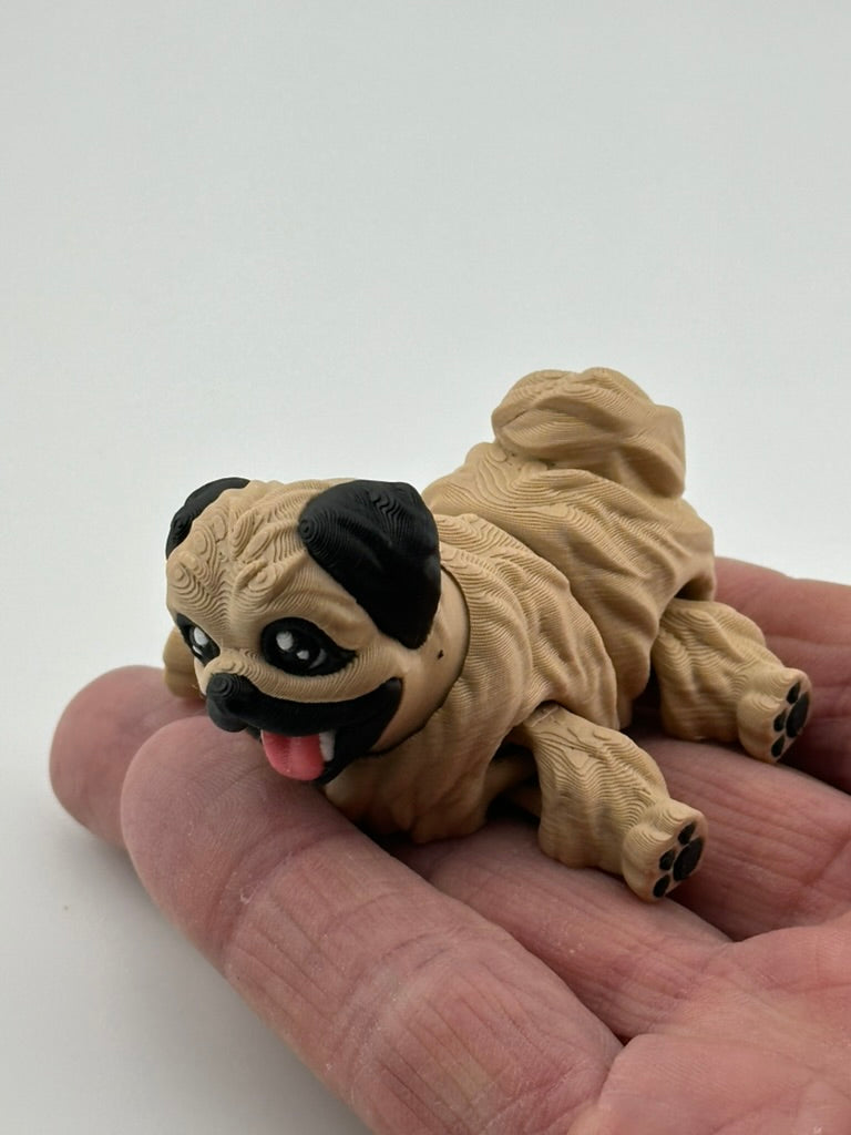 Pekingnese Dog