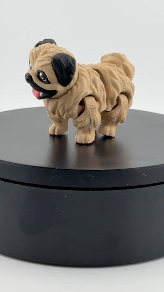 Pekingnese Dog