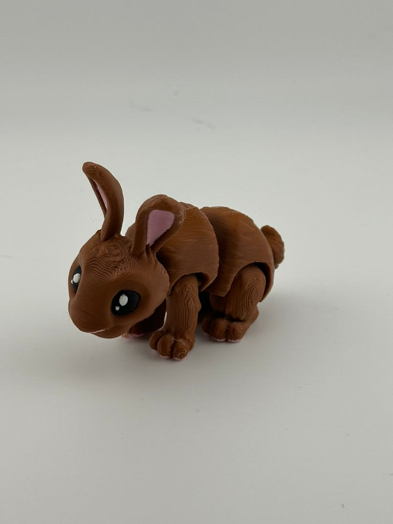 Brown Bunny Rabbit