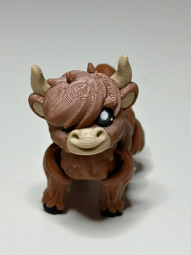 Highland Cow