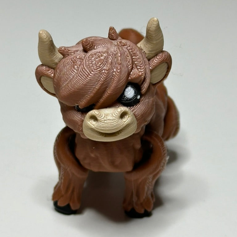 Highland Cow