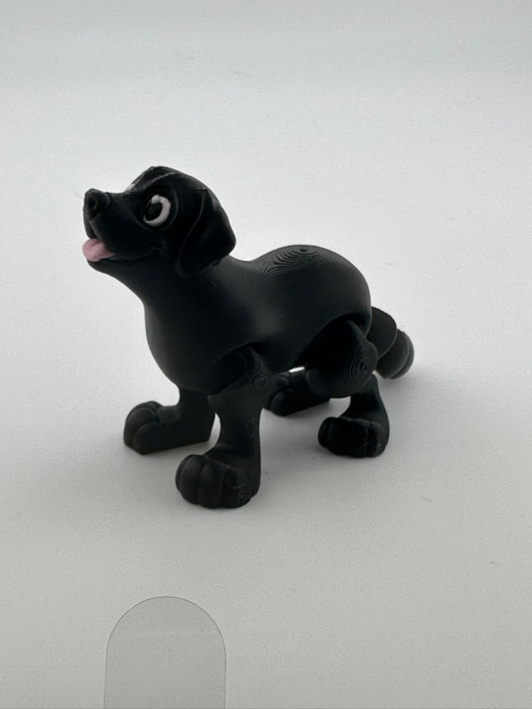 Black Lab Dog