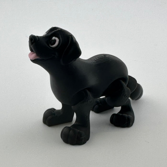 Black Lab Dog