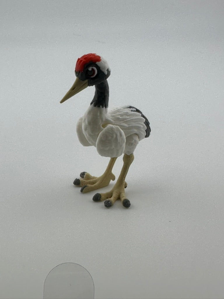 Red Crested Crane