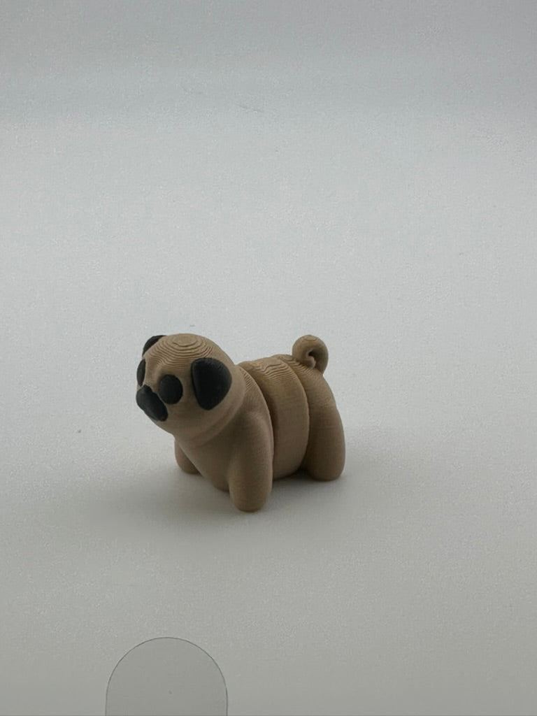 Pug Dog