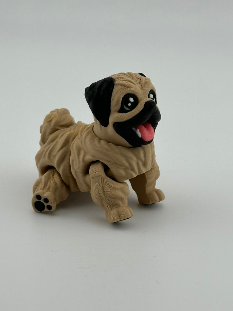 Pekingnese Dog