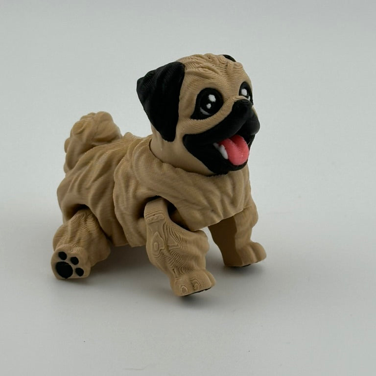 Pekingnese Dog