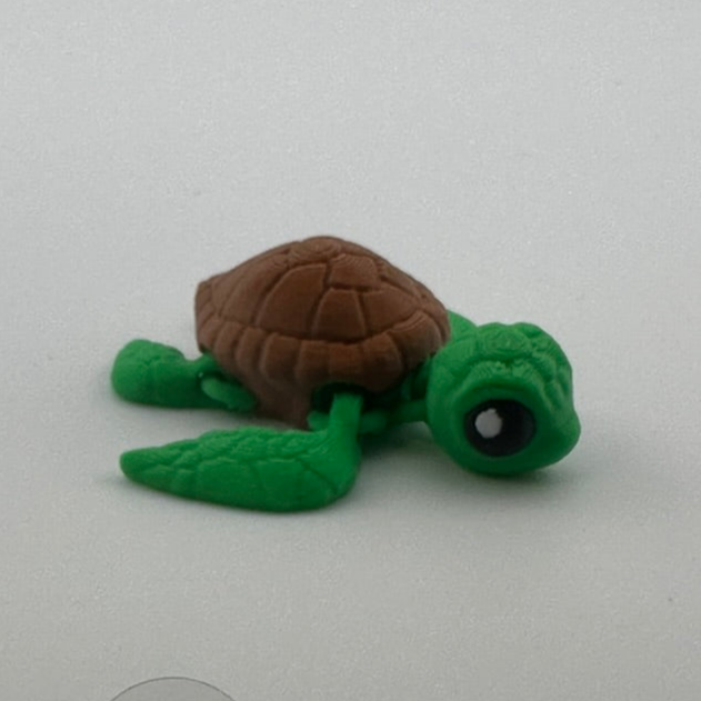 Sea Turtle