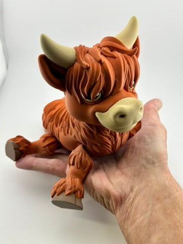 Highland Cow