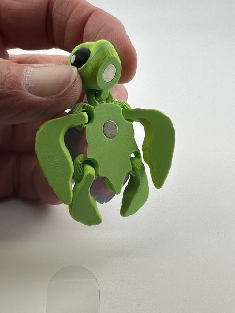 Turtle Magnet (Assorted Colors)