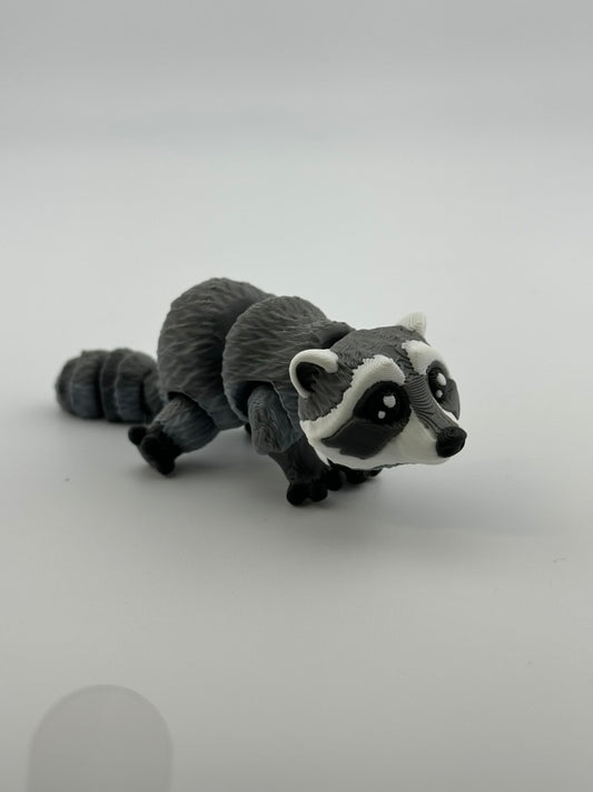 Raccoon