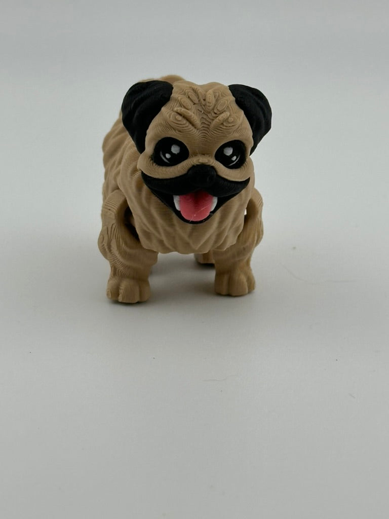 Pekingnese Dog