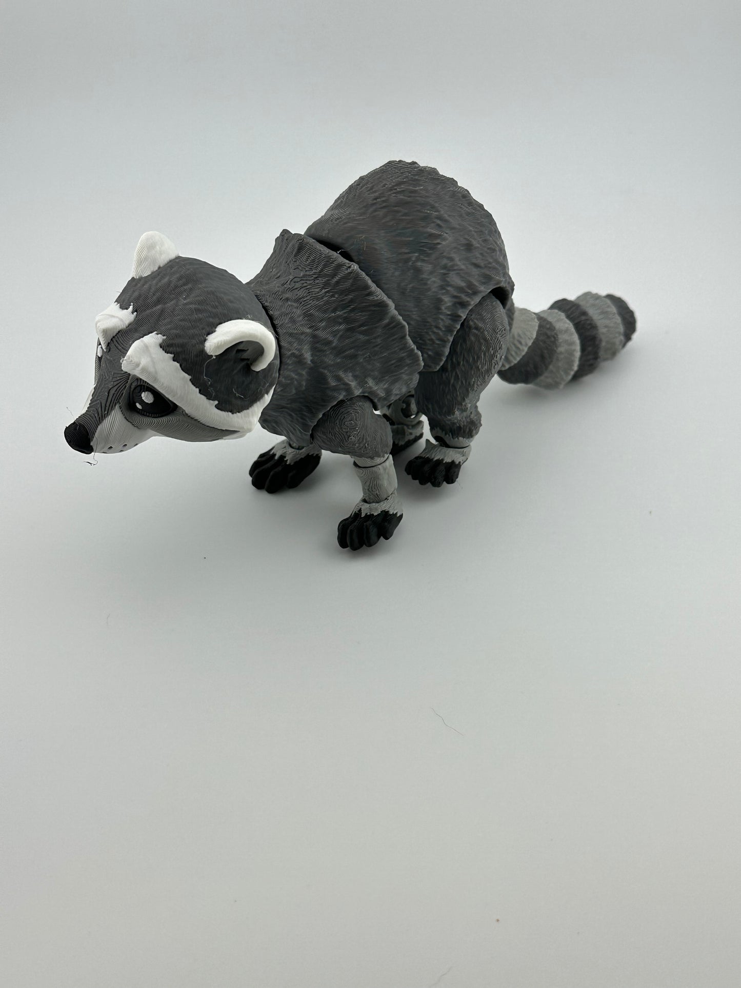 Raccoon
