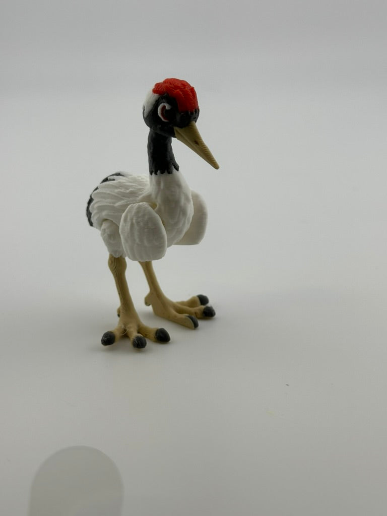 Red Crested Crane