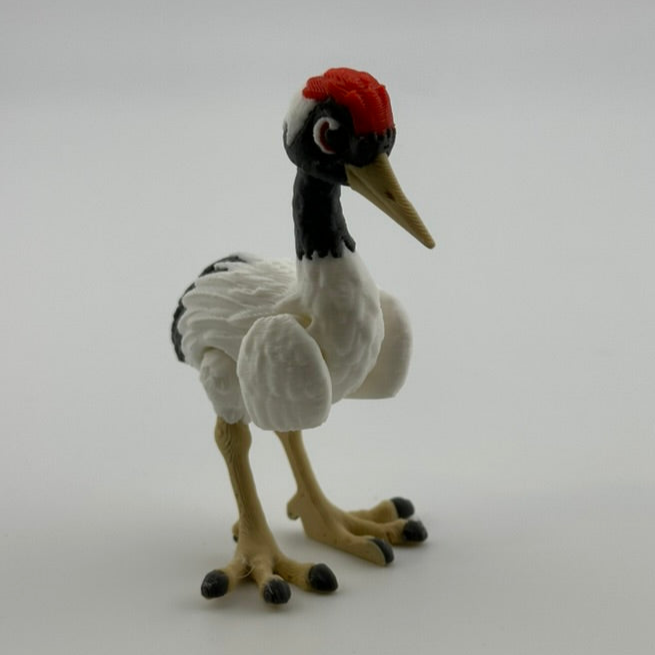 Red Crested Crane