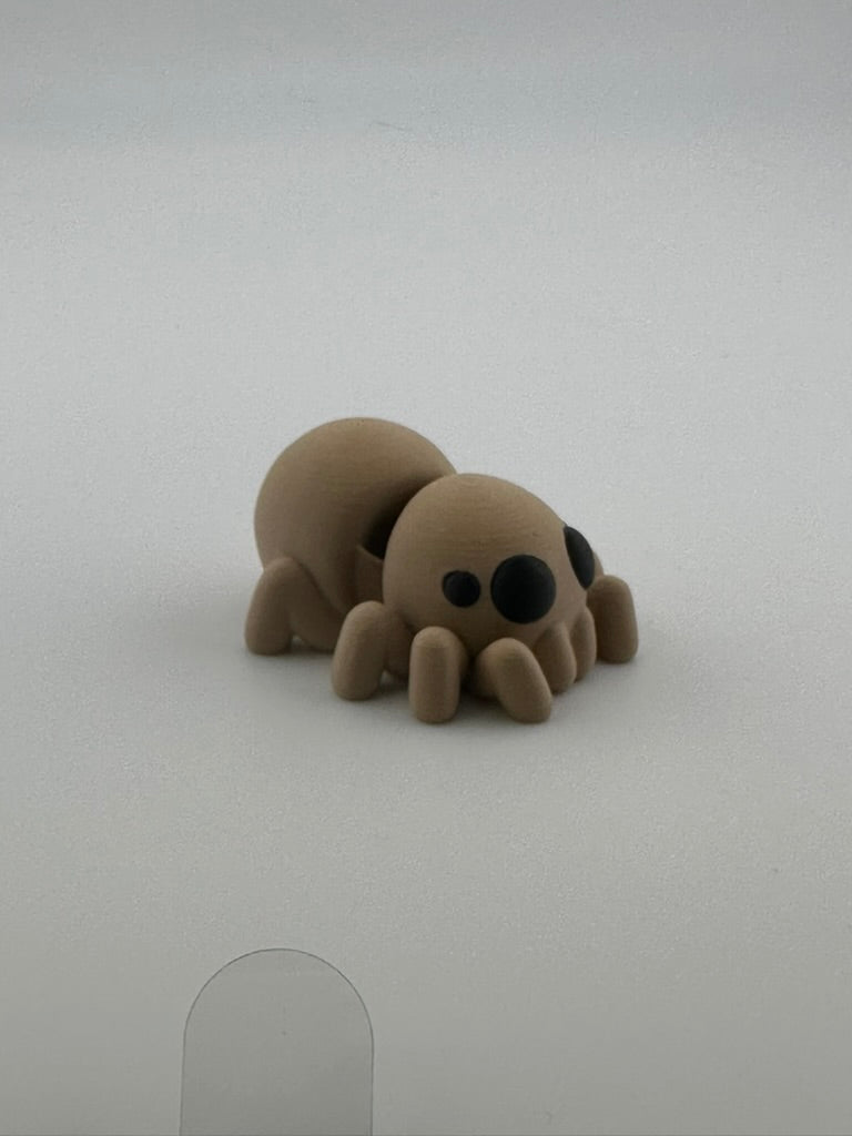 Spider