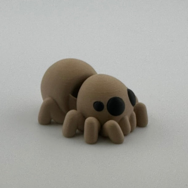 Spider