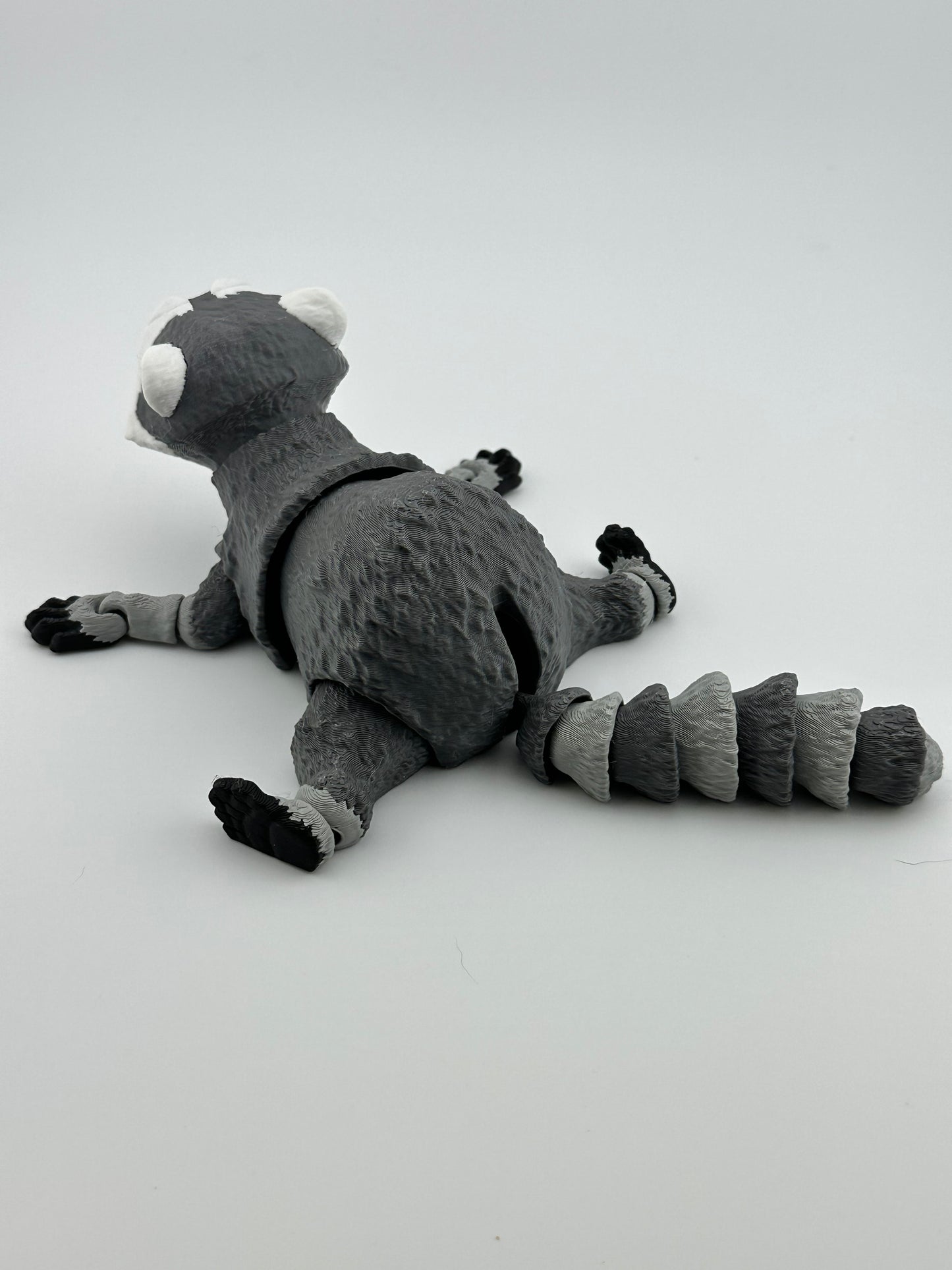 Raccoon