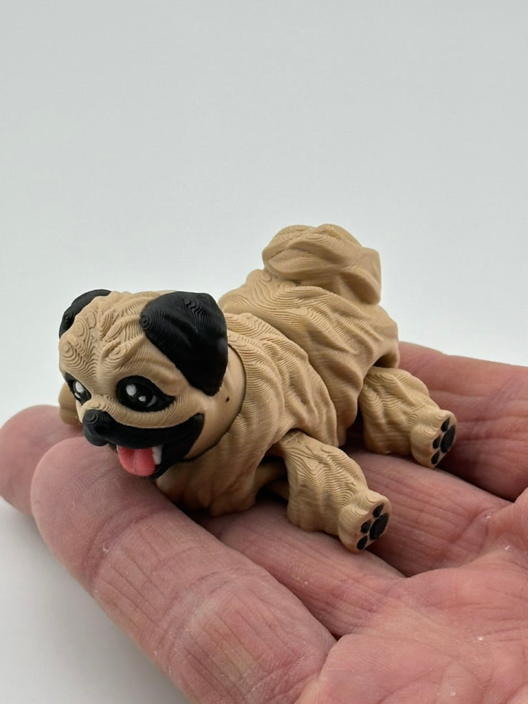Pekingnese Dog