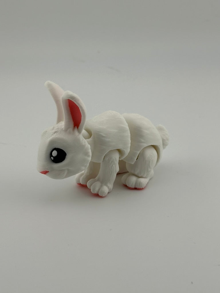 White Bunny Rabbit