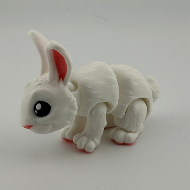 White Bunny Rabbit