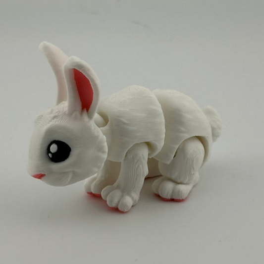 White Bunny Rabbit