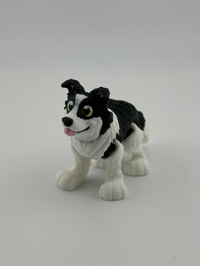 Border Collie
