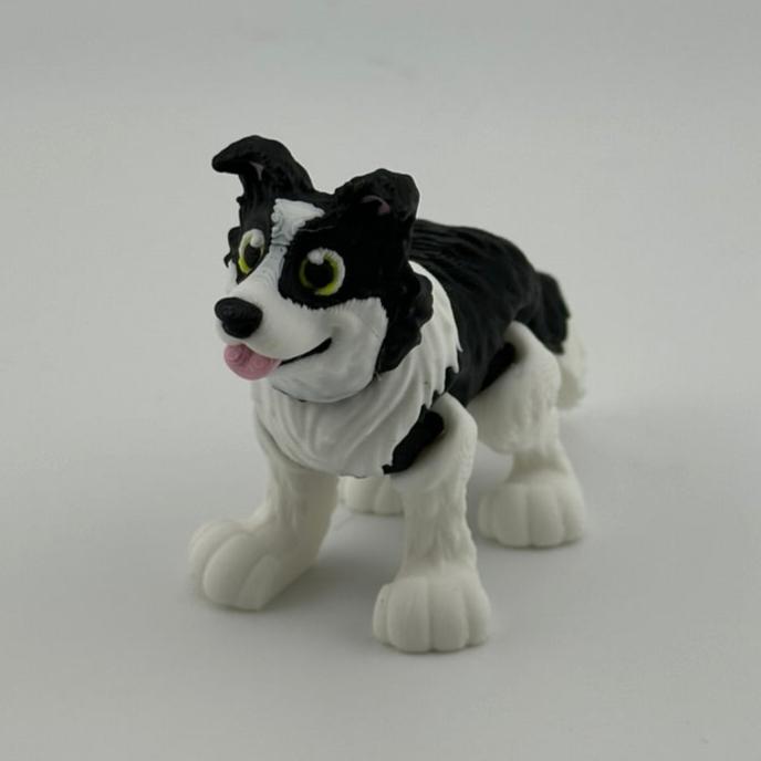 Border Collie