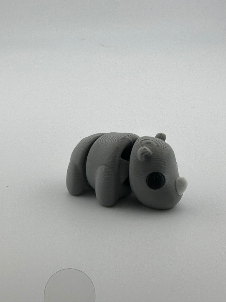 Baby Rhinoceros