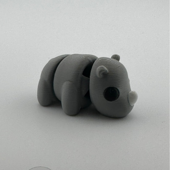 Baby Rhinoceros