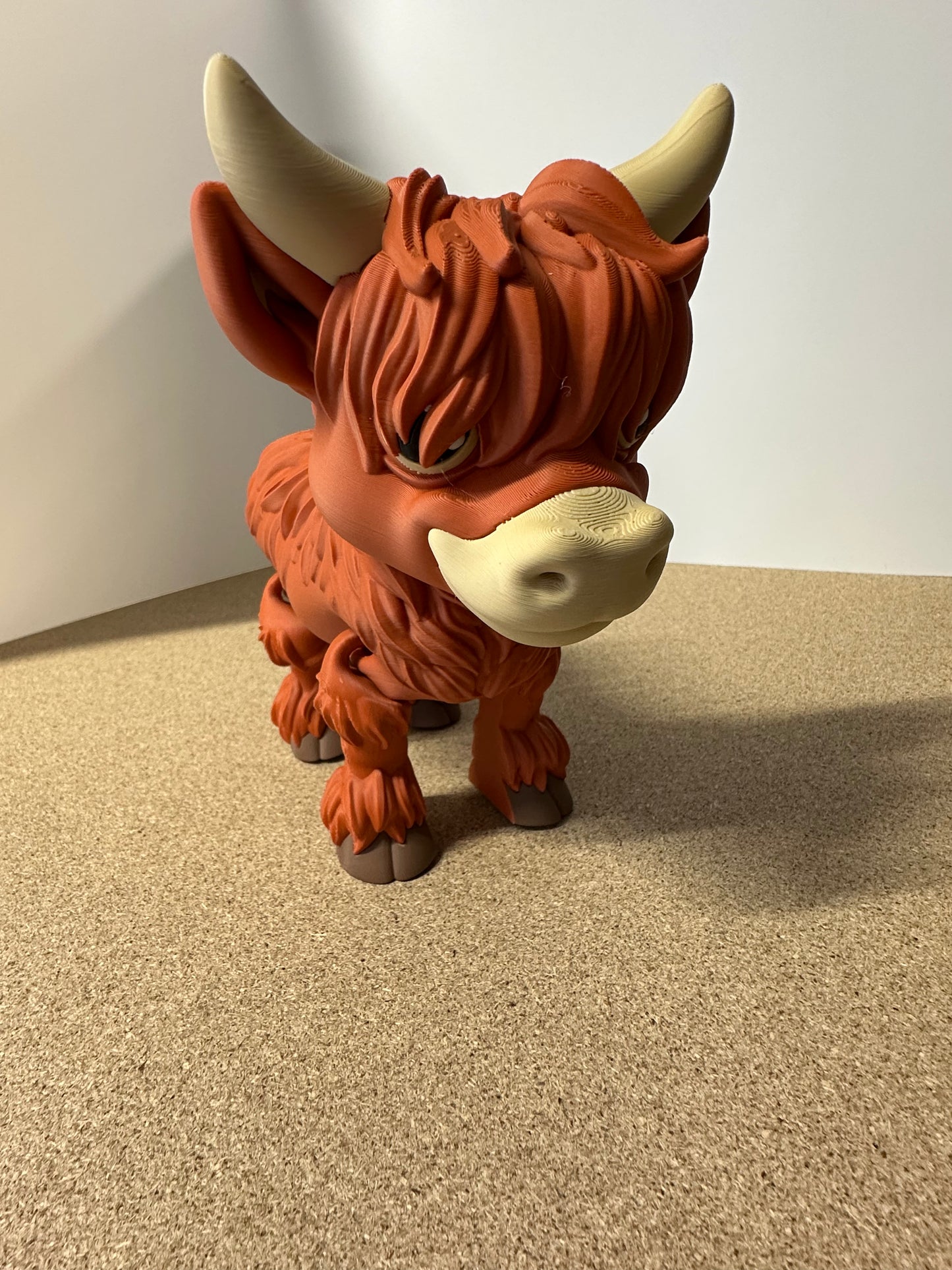 Highland Cow