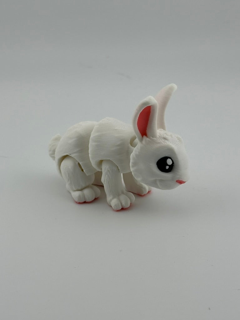 White Bunny Rabbit